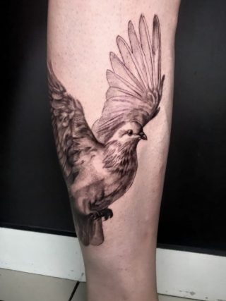 image-320x427 (12)