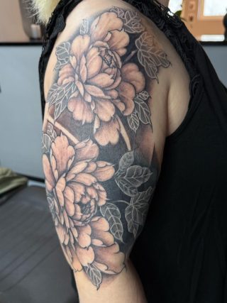 image-320x427 (4)