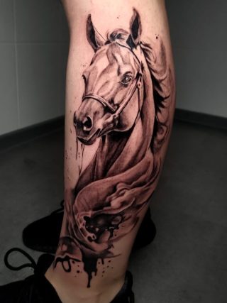 image-320x427 (9)